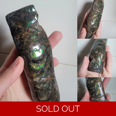 Large Stunning Green Rare Baculite Ammonite Ammolite Gem Fossil Shell From Canada